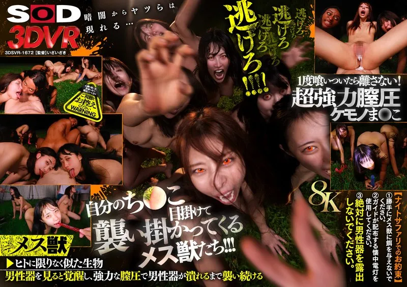 【VR】葉月ひなと8Kで体験！本能を刺激するバーチャルナイトサファリ 葉月ひな