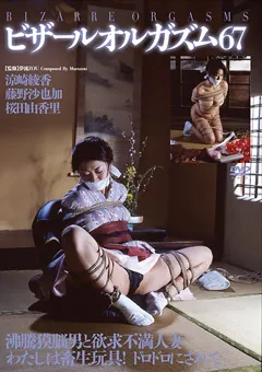 【アヴァ】ビザールオルガズム67 【ADV-SR0165】