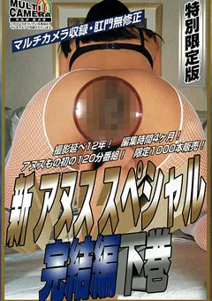 【VIDEO INTERNATIONAL】新・アヌススペシャル完結編（下巻） 【IJ-015】