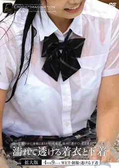 【妄想族】濡れて透ける着衣と下着 拡大版 【dftr00202】