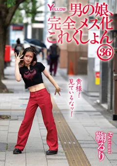 【妄想族】男の娘、完全メス化これくしょん36 鞠るり 【hery00140】 鞠るり