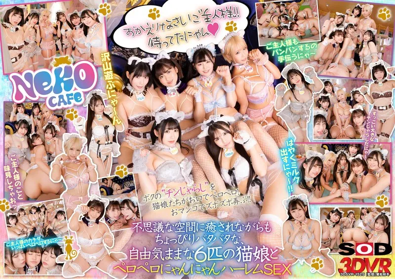 【VR】【天咲ひめの 天晴乃愛 乙アリス 菊池まや 山本蓮加 九井スナオ】猫好きにはたまらない！美少女たちと過ごす、極上のバーチャル猫カフェ体験 天咲ひめの,天晴乃愛,乙アリス,菊池まや,山本蓮加,九井スナオ