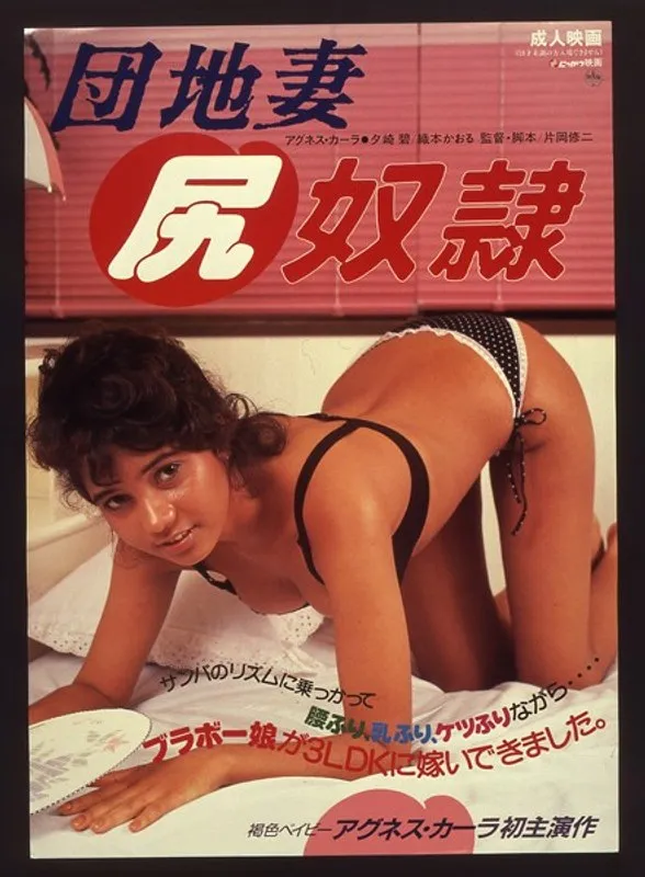 【アグネス・カーラ 夕崎みどり 織本かおる】熟妻たちの秘密…団地妻が赤裸々に語る、禁断の蜜月 アグネス・カーラ,夕崎みどり,織本かおる