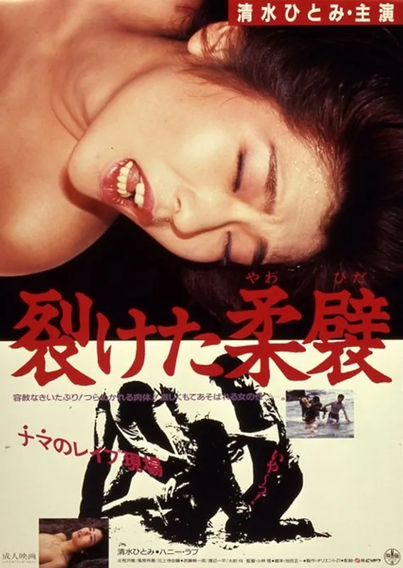 【清水ひとみ 北見沢唯 風見玲香】清水ひとみ、北見沢唯、風見玲香のドラマティックな物語 清水ひとみ,北見沢唯,風見玲香