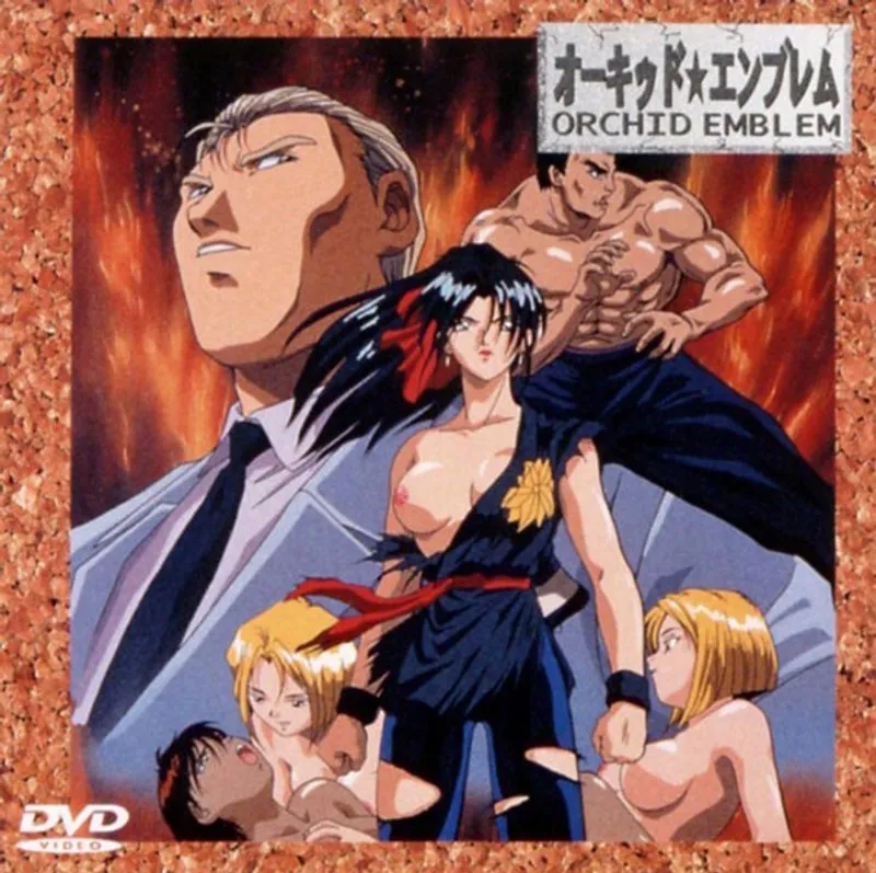 豊満な果実と恥じらいが弾ける！激しいアクション格闘エンブレム