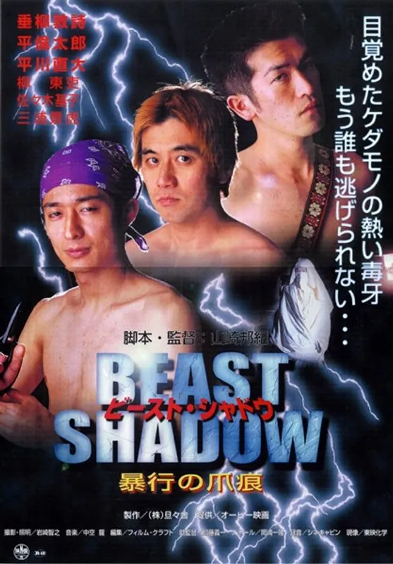 ゲイ・シャドウ：暴行の痕跡と心の闇、その痛烈な物語