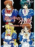 魅惑のメイドが全開！ファンタジー美少女のベストシーン集