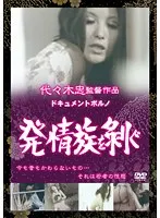 五十嵐のり子、愛と欲望の真実を暴くドキュメンタリー 五十嵐のり子