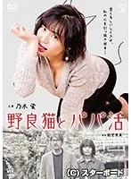 【乃木蛍 並木塔子】乃木蛍＆並木塔子、野良猫と過ごす秘密の夜…Vシネマドラマ 乃木蛍,並木塔子