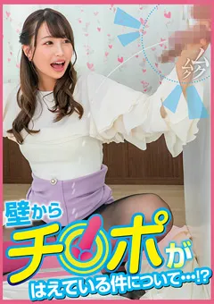 【素人参加バラエティ】三尾めぐ 素人参加バラエティ みつき 【KING-205】 三尾めぐ