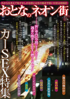 【絆書房】おとなのネオン街 カーSEX特集 【KIZN-021】
