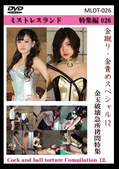 【Mistress Land】金蹴り・金責めスペシャル12 【MLDT-026】