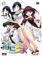 若妻・幼妻と愛を育む、甘く切ない恋愛DVD - 廉価版