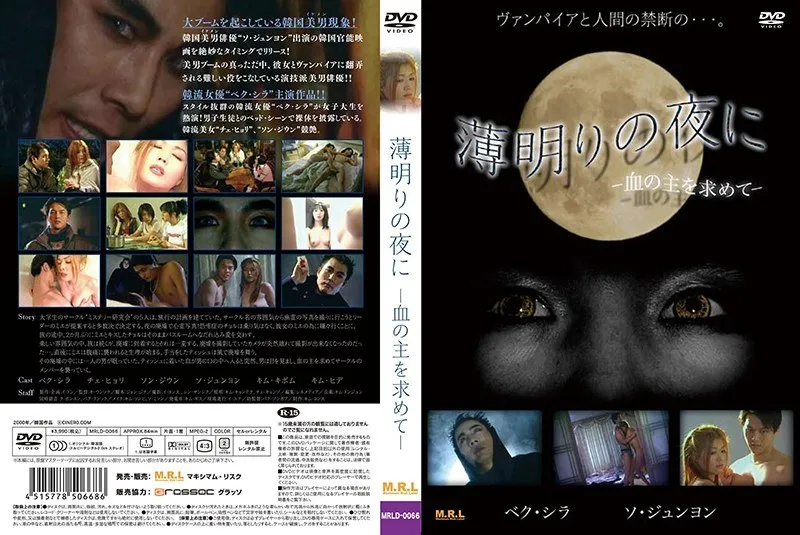 薄明の夜、血の誓い。アジアの女神が描く、Vシネマドラマの深淵