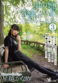 【妄想族】男の娘、完全メス化これくしょん 3 星越かなめ 【hery00105】 星越かなめ