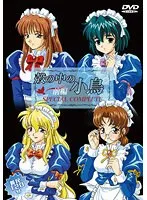 殻の中の小鳥：ランジェリー姿で魅せる、密室の甘い誘惑【前編】