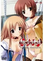 アニメ大人の事情廉価版：年の差ラブコメにキュン！セーラー服＆未経験のドキドキ