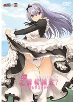 美少女くノ一が花嫁に？アニメシンデレラコレクション廉価版の魅力