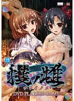 年上の魅力と危険な誘惑！ハードな世界へ誘うDVD作品