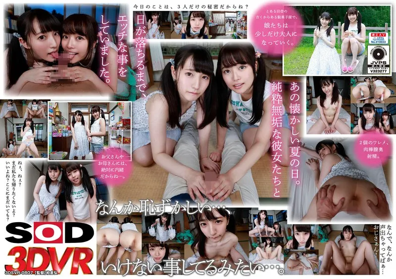 【VR】宮沢ちはる出演！小柄美少女との禁断の愛…バーチャル空間で極上の愛の充填！ 宮沢ちはる