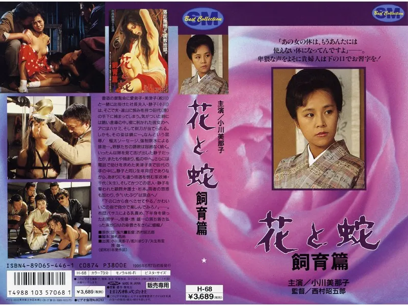 【小川美那子 矢生有里 舵川まり子】小川美那子、矢生有里、舵川まり子と過ごす危険な同居生活 小川美那子,矢生有里,舵川まり子