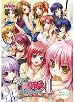 美少女たちの秘密…！年上＆年下、豊満な果実が織りなす11人の個人レッスン