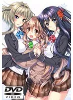 美少女が巫女姿で恋に悩む！？ 青春恋愛DVD-PGの魅力