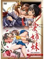 愛と青春の葛藤…制服女子が織りなす、切ないアニメDVDコレクション
