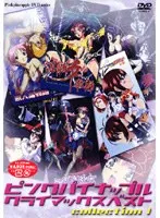 美少女たちの魅惑ベスト！豊満な果実と緊縛の極上コレクション