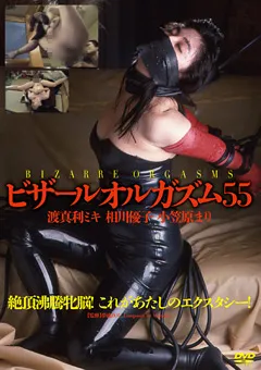 【アヴァ】ビザールオルガズム55 【ADV-SR0117】