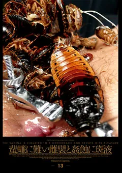 【GENKI】蜚蠊に難い雌襞と○蝕に斑液 【GETD013】