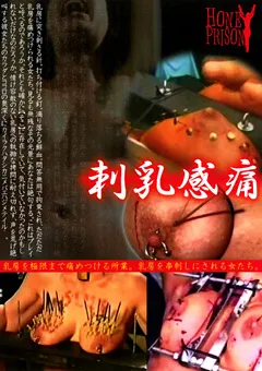 【KMC】刺乳感痛 【HPRS-006】