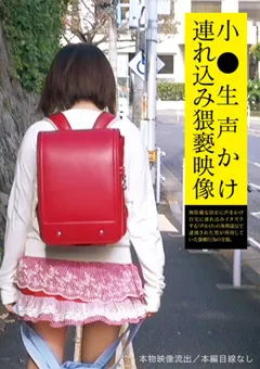 【アイビーワークス】○○生声かけ連れ込み猥褻映像 【IBW-357】