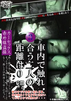 【○撮愚連隊】車内で触れ合う二人の距離は0cm。3 【KAGE-078】