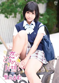 【Spice Visual】恋のときめき片想い 聖川春歌 【MMR-AB021】 聖川春歌