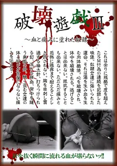 【KMC】破壊遊戯3 ～血と痛みに塗れた従僕～ 【NKG-064】