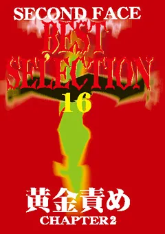 【セカンドフェイス】SECOND FACE BEST SELECTION16 【SECB-16】