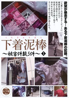 【ブレーントラストカンパニー】下着泥棒～被○件数5件～1 【TSD-001】
