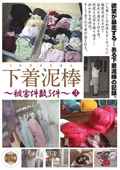 【ブレーントラストカンパニー】下着泥棒～被○件数5件～3 【TSD-003】