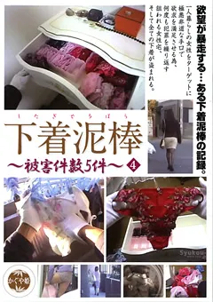 【ブレーントラストカンパニー】下着泥棒～被○件数5件～4 【TSD-004】