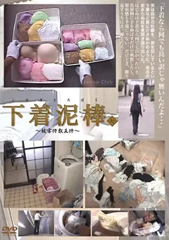 【ブレーントラストカンパニー】下着泥棒～被○件数5件～7 【TSD-007】