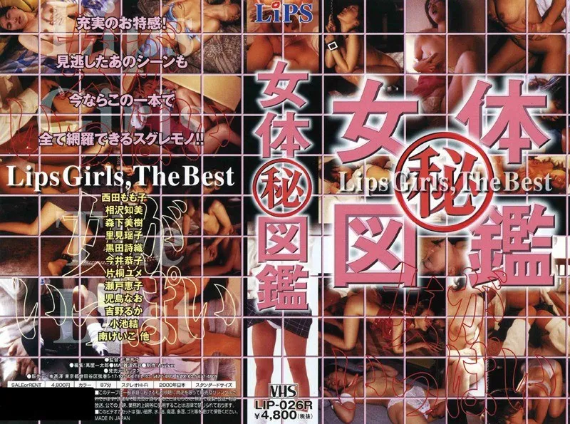 【西田もも子 相沢知美 森下美樹 里見瑤子 今井恭子 吉野るか 片桐ユメ 小池ゆい 瀬戸恵子 南恵子 黒田詩織 児島なお】禁断の制服図鑑！Vシネマ界の美少女たちが暴く、自由への渇望 西田もも子,相沢知美,森下美樹,里見瑤子,今井恭子,吉野るか,片桐ユメ,小池ゆい,瀬戸恵子,南恵子,黒田詩織,児島なお