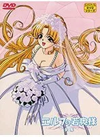 エルフの若奥様コレクション：美しき彼女たちの全てを徹底解剖