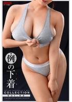 【書籍】【高品質】例の下着COLLECTION Vol.02（POD）