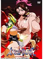 美少女と過ごす禁断の一夜…エンジェルブレイド パニッシュ 1 限定版の世界