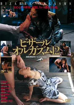 【アヴァ】海老原しのぶ 白鳥るり ビザールオルガズム12 【ADV-R0417】 海老原しのぶ,白鳥るり