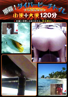 【紀州書店】那覇！ダイバービーチトイレ 小便＋大便120分12 【BTA-12】