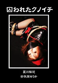 【隷嬢寫眞館】囚われたクノイチ 【DCCP-023】