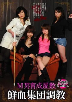 【C-Format】M男育成屋敷 鮮血集団調○ 【LVC-001】