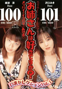 【RADIX】沢口みき 綾波涼 お姉さんは好きですか？ 巨乳セレクション Vol.1 【MBD-043】 沢口みき,綾波涼